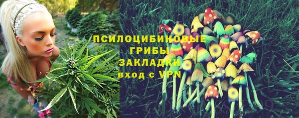 твердый Дмитриев