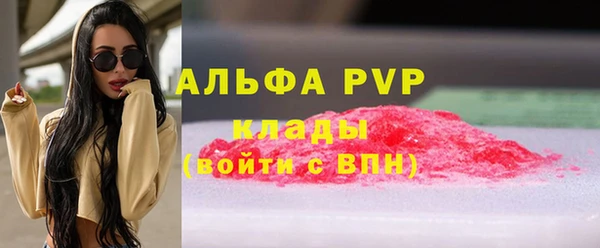 твердый Дмитриев
