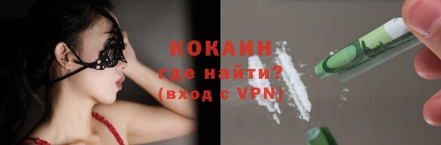 твердый Дмитриев